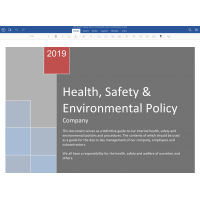 Health, Safety & Environment Policy in word format