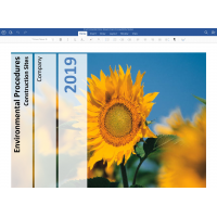 Environmental Policy in word format