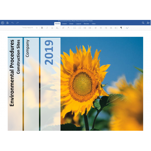 Environmental Policy in word format