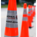 Traffic Marshall (14 November 2019)